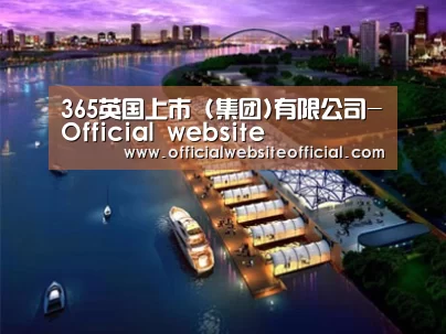 案例展示八