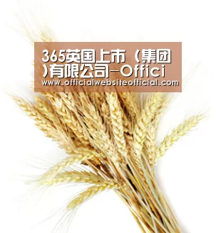 365英国上市 (集团)有限公司-Official website